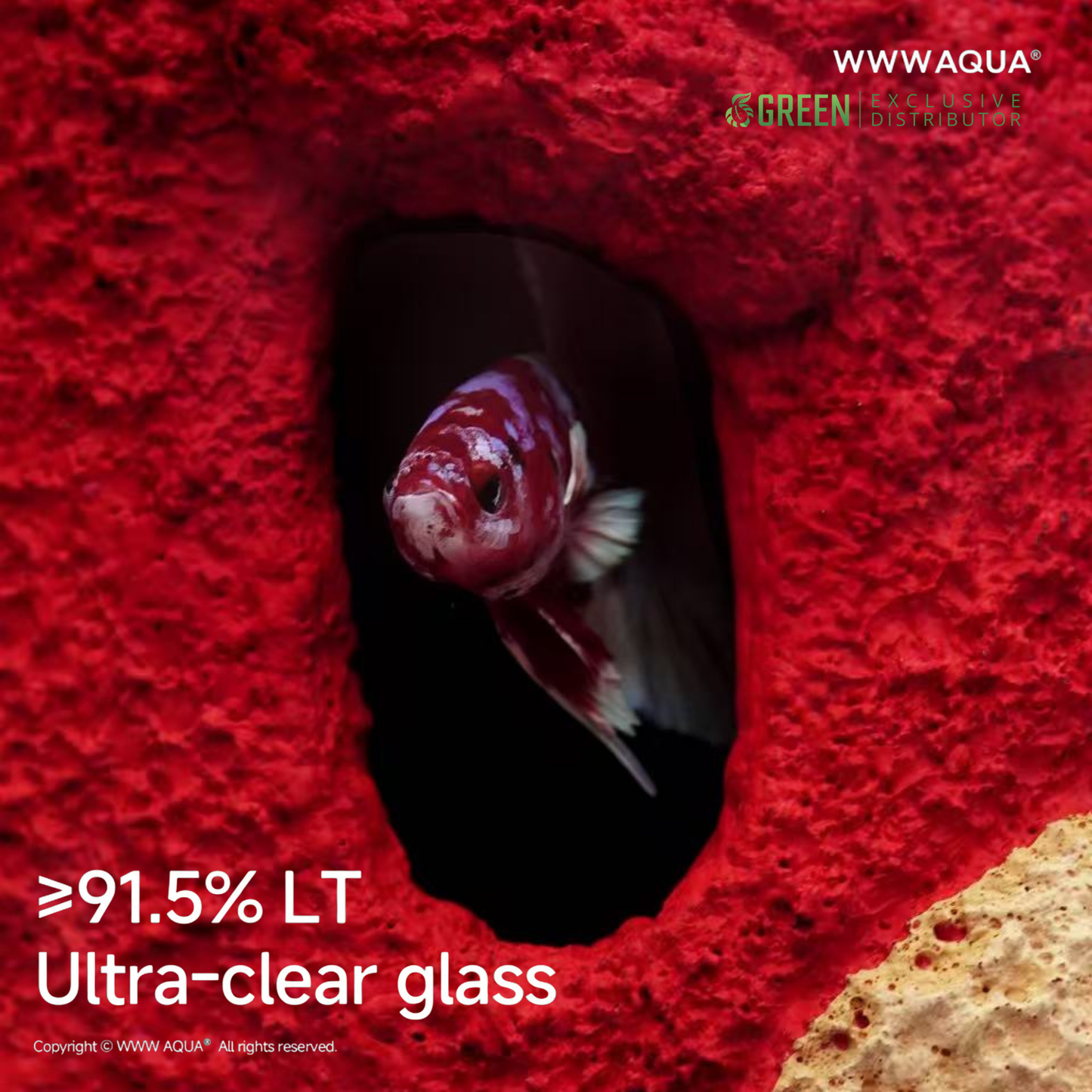 WWWAQUA | 马ney (The Lunar Edition)