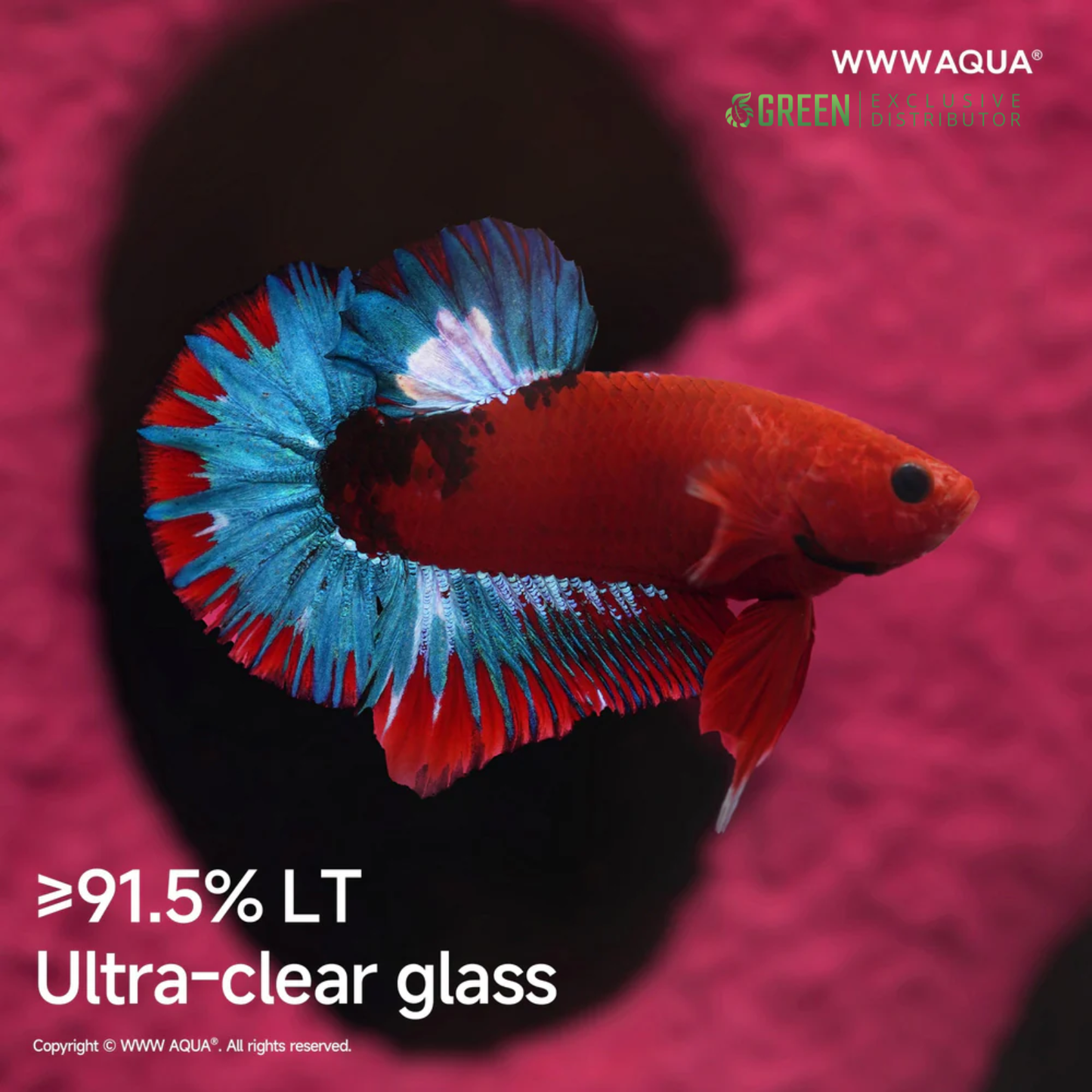 WWWAQUA | Neon Soul: Bonbobo Edition