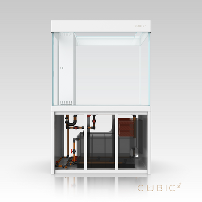 CUBIC² S150 ULTRA MS