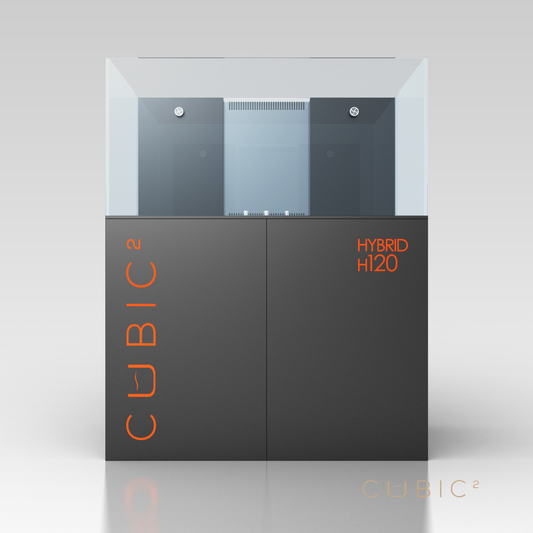 CUBIC² H120
