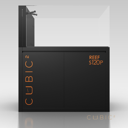 CUBIC² S120P (PENINSULA)