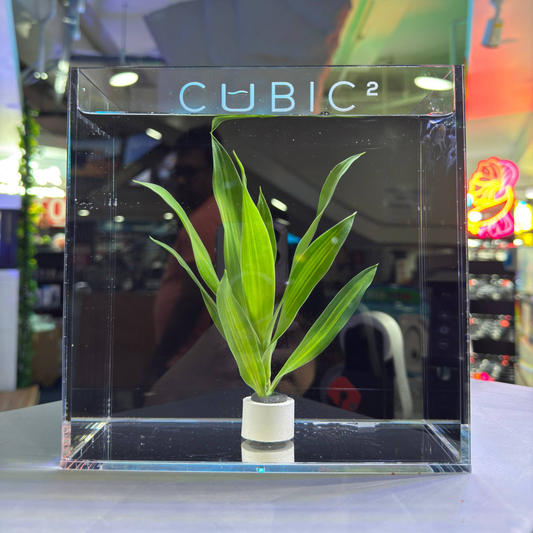 CUBIC² BETTA TANK