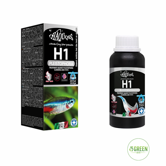 HAQUOSS H1 - PLEISTOPHORA