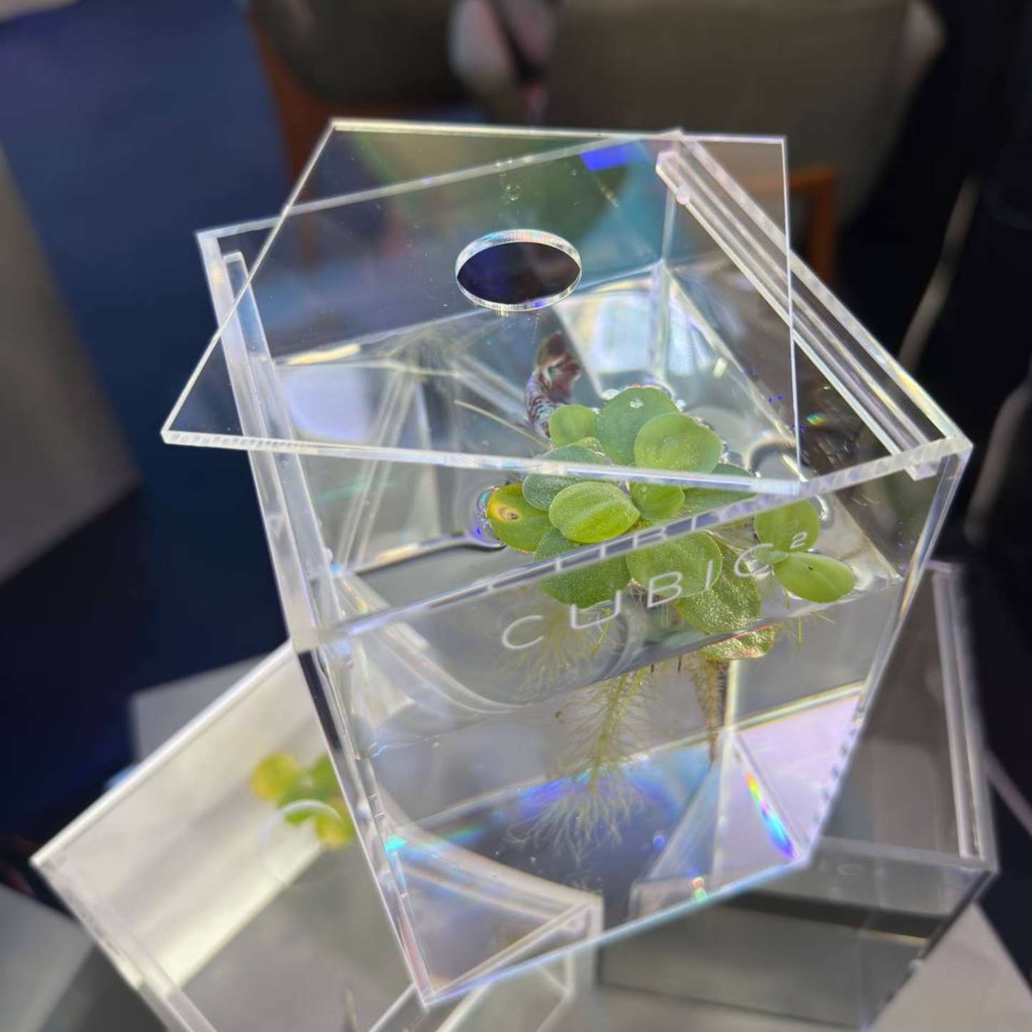 CUBIC² BETTA TANK (WITH COVER)