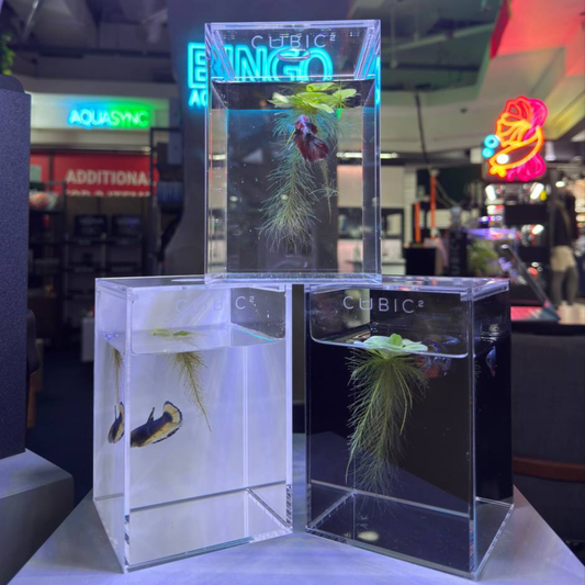CUBIC² BETTA TANK (WITH COVER)
