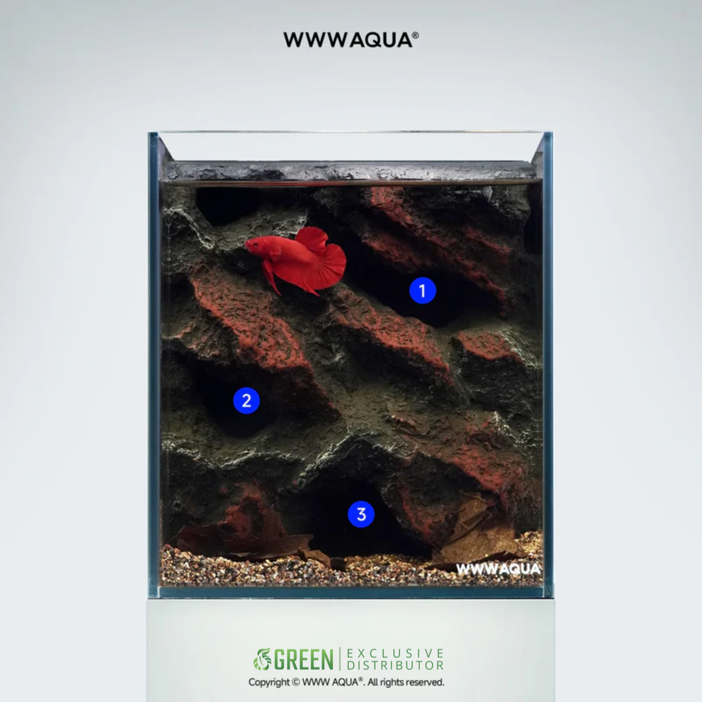 [PREORDER] WWWAQUA | Ember Abyss