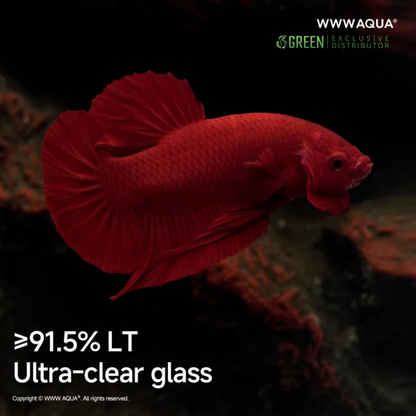 [PREORDER] WWWAQUA | Ember Abyss