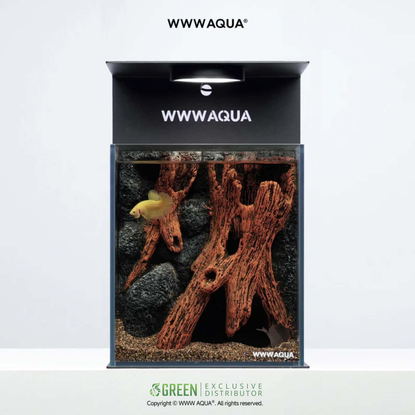 [PREORDER] WWWAQUA | Elderwood Hollow