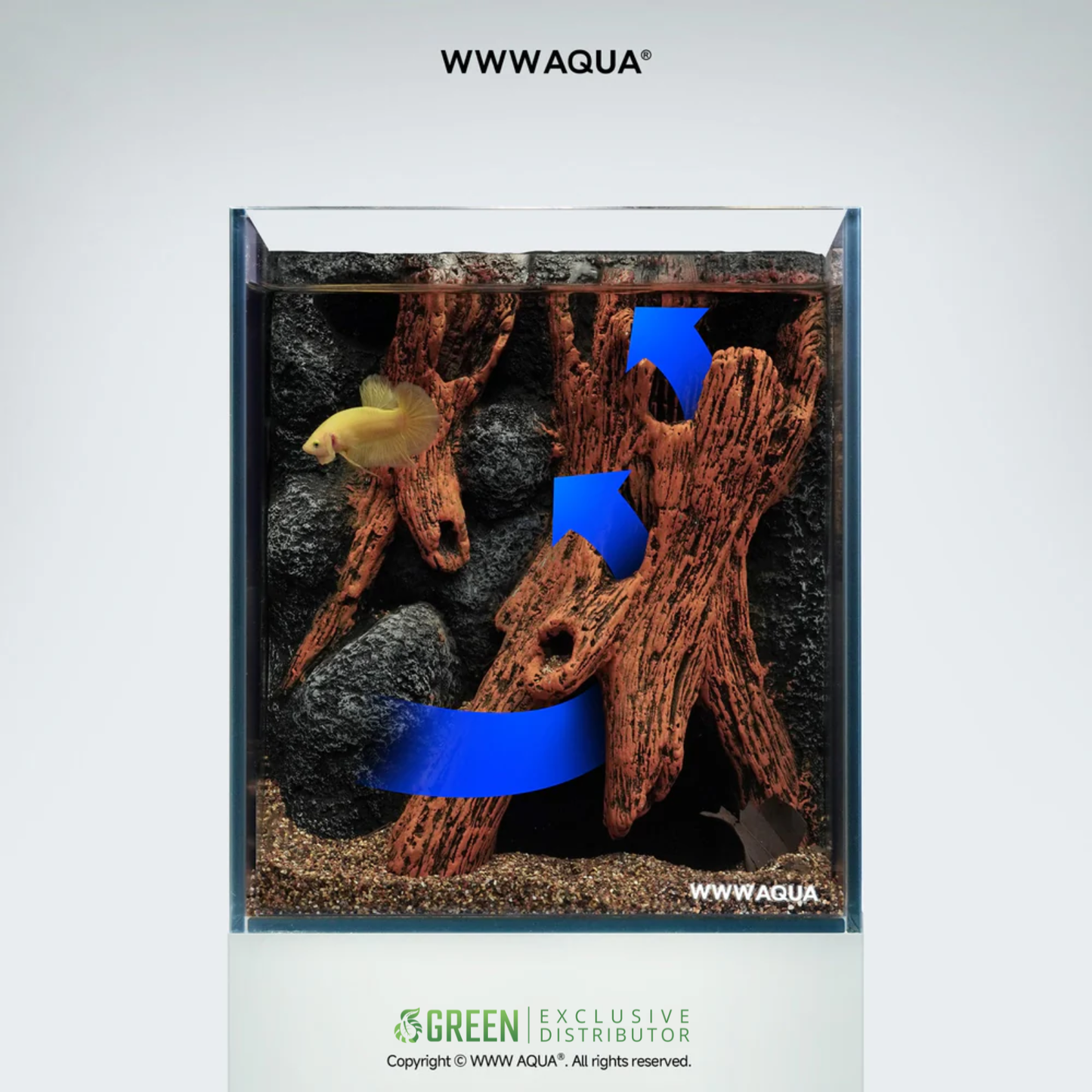 [PREORDER] WWWAQUA | Elderwood Hollow