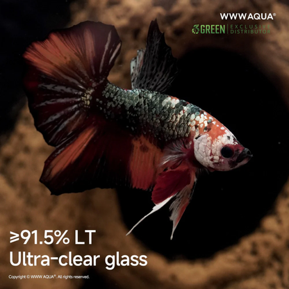 [PREORDER] WWWAQUA | The Tyrant King