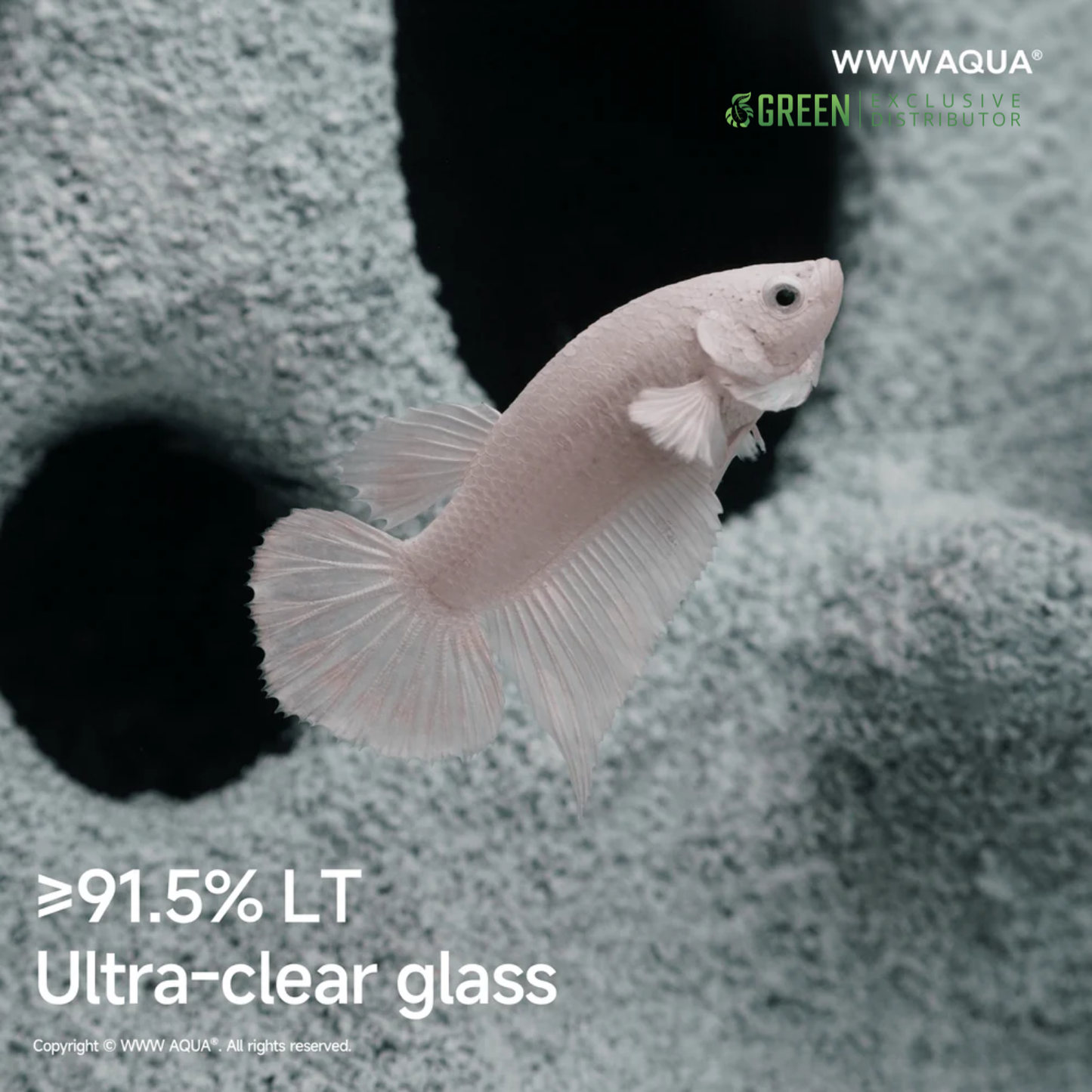 [PREORDER] WWWAQUA | Casper’s Cove