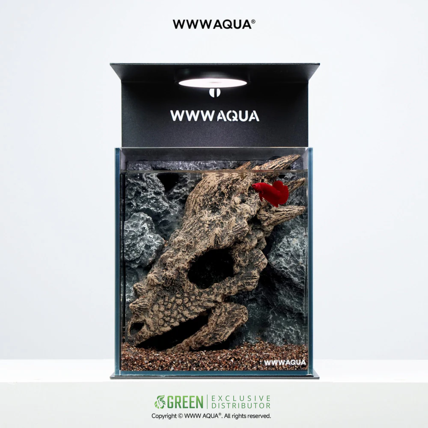 [PREORDER] WWWAQUA | The Dragon’s Lair