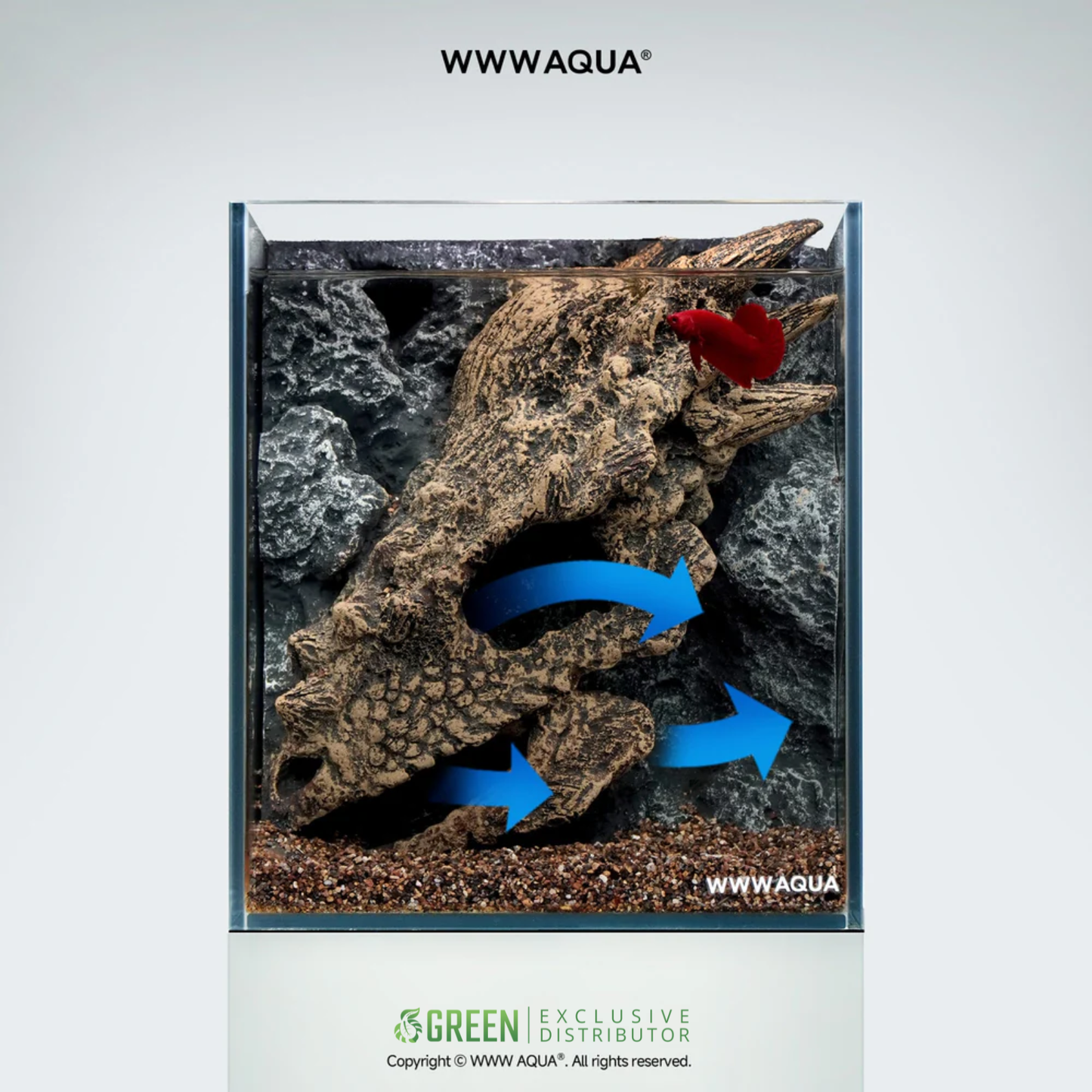 [PREORDER] WWWAQUA | The Dragon’s Lair