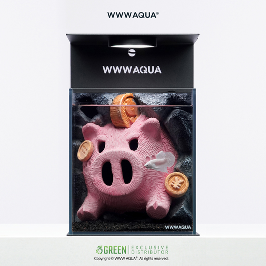 WWWAQUA | Lucky Oink